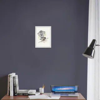 Framed print with a watercolour pīwakawaka fantail